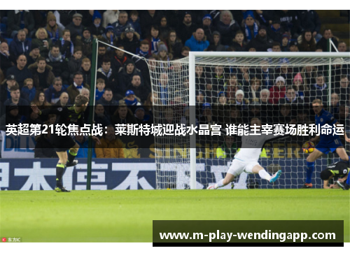 英超第21轮焦点战:莱斯特城迎战水晶宫 谁能主宰赛场胜利命运 英超第21轮焦点战:莱斯特城迎战水晶宫 谁能主宰赛场胜利命运
