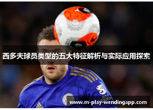 西多夫球员类型的五大特征解析与实际应用探索