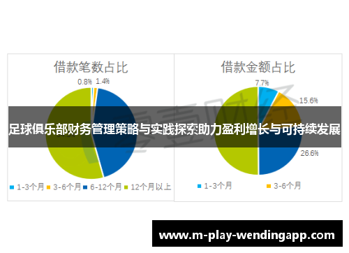 足球俱乐部财务管理策略与实践探索助力盈利增长与可持续发展 足球俱乐部财务管理策略与实践探索助力盈利增长与可持续发展