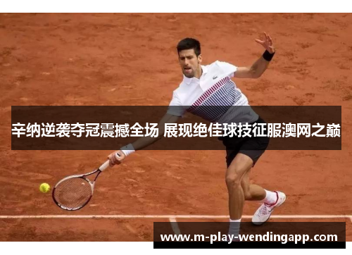 辛纳逆袭夺冠震撼全场 展现绝佳球技征服澳网之巅 辛纳逆袭夺冠震撼全场 展现绝佳球技征服澳网之巅