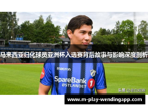马来西亚归化球员亚洲杯入选赛背后故事与影响深度剖析